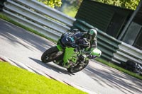 brands-hatch-photographs;brands-no-limits-trackday;cadwell-trackday-photographs;enduro-digital-images;event-digital-images;eventdigitalimages;no-limits-trackdays;peter-wileman-photography;racing-digital-images;trackday-digital-images;trackday-photos